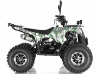 купить Квадроцикл WELS Thunder 125 Lux в Благовещенске - фото 