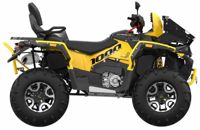 купить Квадроцикл СТЕЛС ATV 1000G Guepard Trophy EPS 2.0 (ПСМ) в Щелково - фото 
