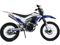 купить Мотоцикл кроссовый эндуро MOTOLAND MTX250 в Пензе - фото 