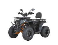купить Квадроцикл DAZZLE ATV200 Lux в Минске и Беларуси - фото 