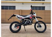 купить Мотоцикл X-MOTOS 140 19/16 BLACK PITBIKE в Перми - фото 