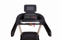 купить Беговая дорожка Watson Dynamics Pro 300 LCD в Москве - фото 