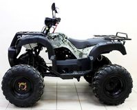 купить Квадроцикл ATV Avenger Tungus 250 в Мичуринске - фото 