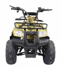 купить Квадроцикл ATV Atomik TT в Мичуринске - фото 