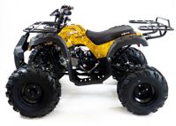 купить Квадроцикл MOTAX ATV Grizlik-8 125 в Щелково - фото 