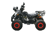 купить Квадроцикл BISON Kids 125 LD в Таганроге - фото 
