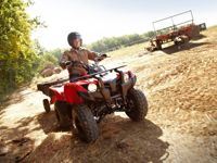 купить Квадроцикл YAMAHA Segway 300 в Севастополе - фото 