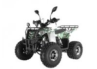 купить Квадроцикл WELS Thunder EVO LUX X 125 в Москве - фото 
