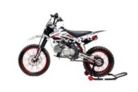 купить Мотоцикл REGULMOTO Seven Medalist 19/16 PITBIKE в Астане - фото 