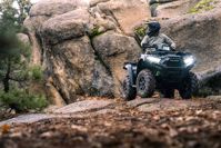 купить Квадроцикл KAWASAKI Brute Force 750 EPS (2024) (ПСМ) в Барнауле - фото 