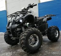 купить Квадроцикл RAPTOR Max Pro 150 в Мытищах - фото 