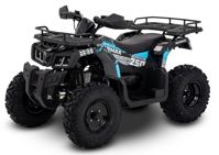 купить Квадроцикл SHARMAX Activator 250 в Санкт-Петербурге - фото 