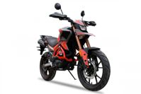 купить Мотоцикл ROCKOT Hound OFFROAD 250 LUX CROSS в Москве - фото 
