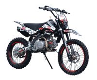 купить Мотоцикл REGULMOTO Seven Medalist 19/16 PITBIKE в Астане - фото 