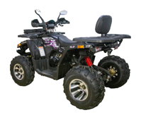 купить Квадроцикл AVANTIS Hunter 200 BIG Premium (Баланс. вал) в Батайске - фото 