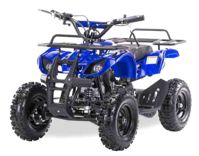 купить Квадроцикл MOTAX ATV Mini Grizlik X-16 в Бахчисарае - фото 