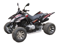 купить Квадроцикл ACCESS SP 300 SM в Коврове - фото 