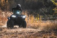 купить Квадроцикл KAWASAKI Brute Force 750 EPS (2024) (ПСМ) в Барнауле - фото 