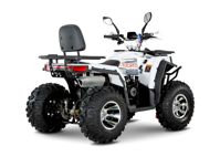 купить Квадроцикл YACOTA Viking 200 PRO в Волгодонске - фото 