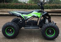 купить Электроквадроцикл MOTAX GEKKON 1300W Сочи - фото 