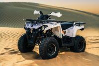 купить Квадроцикл SHARMAX Hummer 300 в Красноярске - фото 