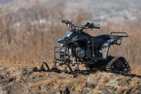 купить Снегоцикл TIGER Universal 150 в Смоленске - фото 