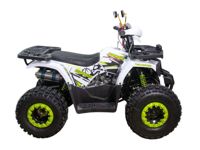 купить Квадроцикл RAPTOR Sport Spirit New в Москве - фото 