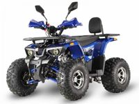 купить Квадроцикл GRIZZLY Aerox 125 в Уфе - фото 
