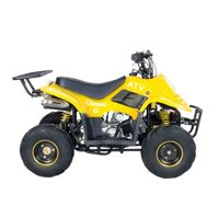 купить Квадроцикл ATV Classic 6 50cc в Ессентуках - фото 