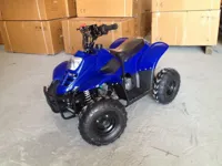 купить Квадроцикл RAPTOR 110 в Коврове - фото 