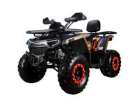 купить Квадроцикл AVANTIS H250 BIG NEW Basic в Королеве - фото 