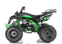 купить Квадроцикл MOTAX ATV Raptor-LUX 125 cc Сочи - фото 