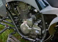 купить Квадроцикл SHARMAX Raizer Race Cup 250 в Мичуринске - фото 