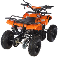 купить Квадроцикл MOTAX ATV Mini Grizlik X-16 (э/с) Big Wheel в Энгельсе - фото 