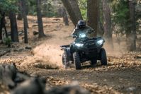 купить Квадроцикл KAWASAKI Brute Force 750 EPS (2024) (ПСМ) в Барнауле - фото 