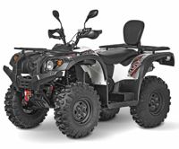 купить Квадроцикл BALTMOTORS Striker 500 EFI в Батайске - фото 