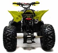 купить Квадроцикл MOTOLAND 125 RAPTOR в Дербенте - фото 