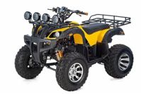 купить Квадроцикл RAPTOR Max Pro 250 (жёлтый/чёрный) (2022) в Коврове - фото 