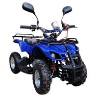 купить Квадроцикл RAPTOR MAX PRO 49cc (2022) в Красноярске - фото 