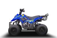 купить Квадроцикл TIGER 150 Universal RX в Чите - фото 