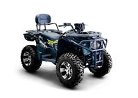 купить Квадроцикл BIZON ZX350 в Астане - фото 