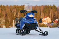 купить Снегоход SHARMAX Landcrafter SN-240 Classic в Перми - фото 