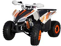 купить Квадроцикл МОТОМИР SPORTY 125 в Воронеже - фото 