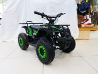 купить Электроквадроцикл MOTAX Grizlik X16 New E1000 Big Wheel Сочи - фото 