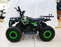 купить Электроквадроцикл MOTAX Grizlik X16 New E1000 Сочи - фото 