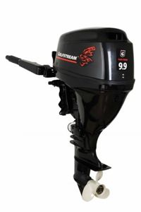 купить 4х-тактный лодочный мотор GOLFSTREAM F 9.9 BMS Сочи - фото 