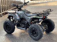 купить Электроквадроцикл MOTAX GRIZLIK X16 NEW E1000 BW Сочи - фото 