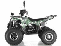 купить Квадроцикл WELS Thunder 125 Lux в Благовещенске - фото 