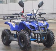 купить Квадроцикл RAPTOR MAX PRO 49cc (2022) в Красноярске - фото 
