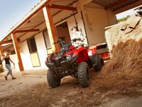 купить Квадроцикл YAMAHA Segway 300 в Севастополе - фото 
